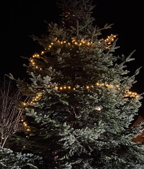 Wilsumer Weihnachtsbaumaktion sucht Helfer!