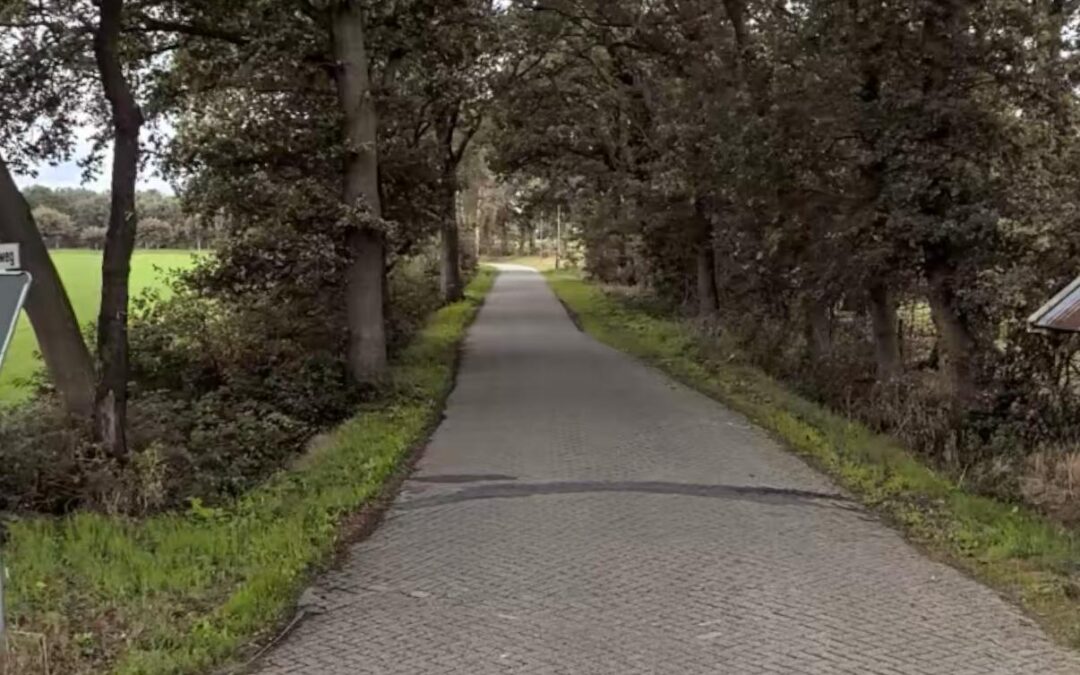 Asphaltierungsarbeiten am Grenzweg beginnen am 10. Juni 2025