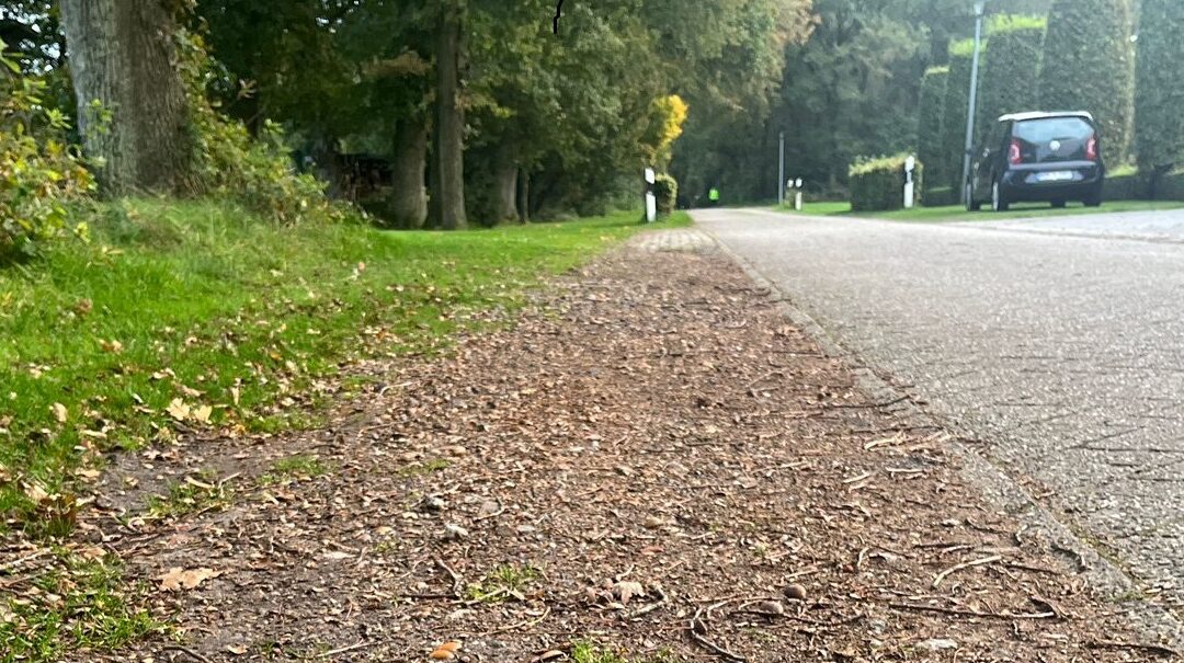 Neue Rasengittersteine Am Sportplatz